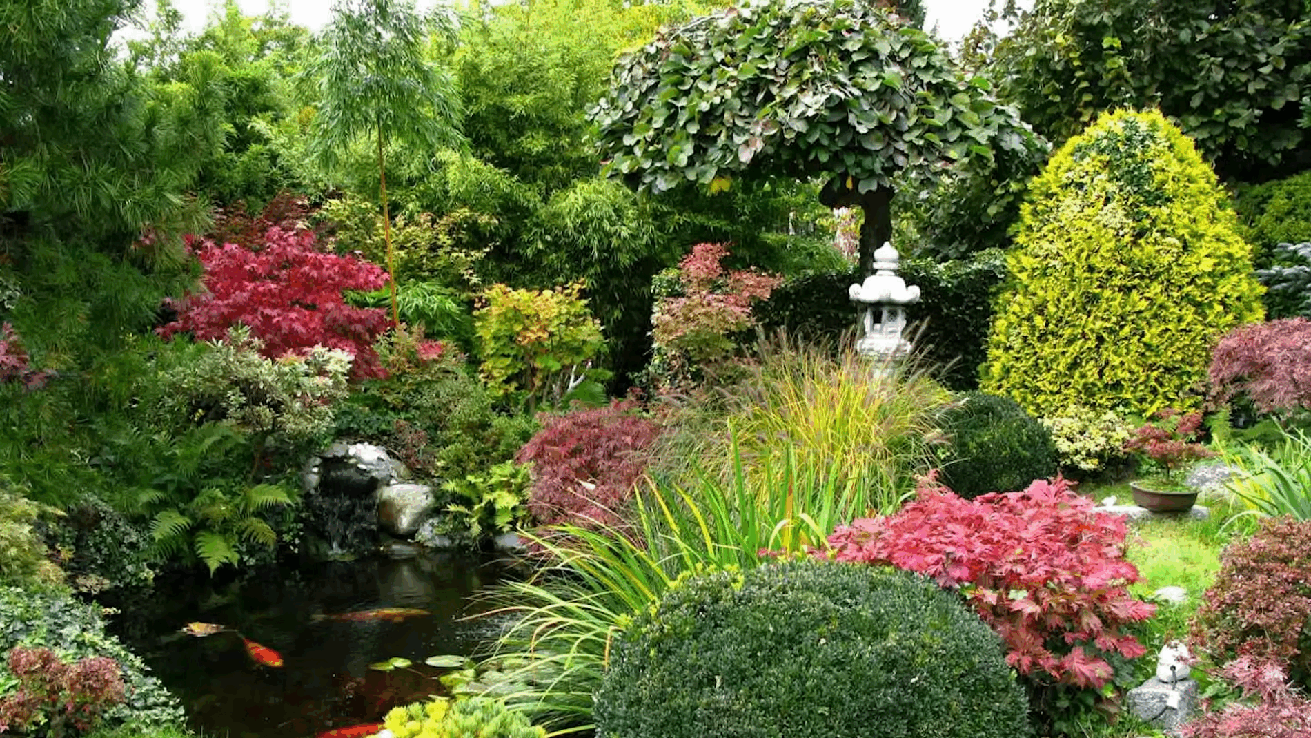 Експерти розповіли, що відрізняє дорогі сади від дешевих