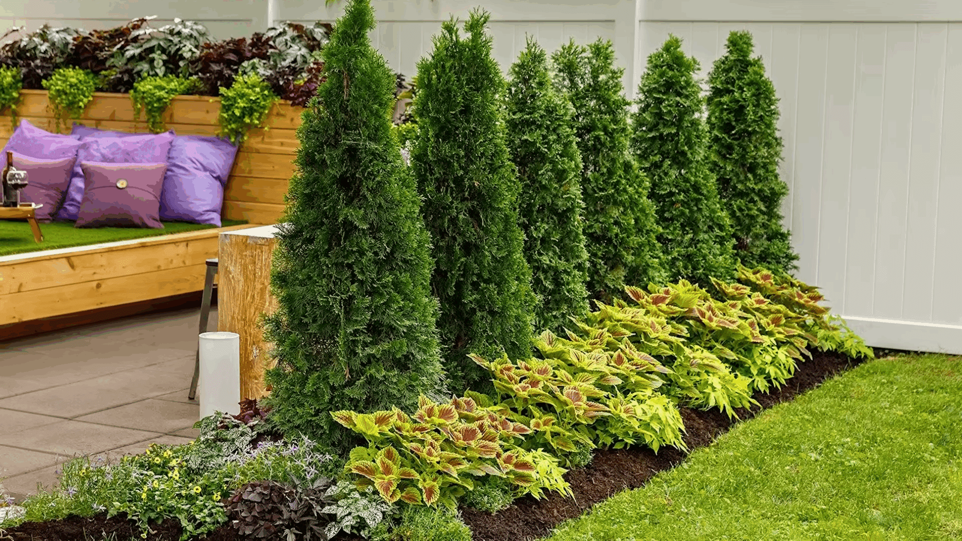 Експерти розповіли, що відрізняє дорогі сади від дешевих