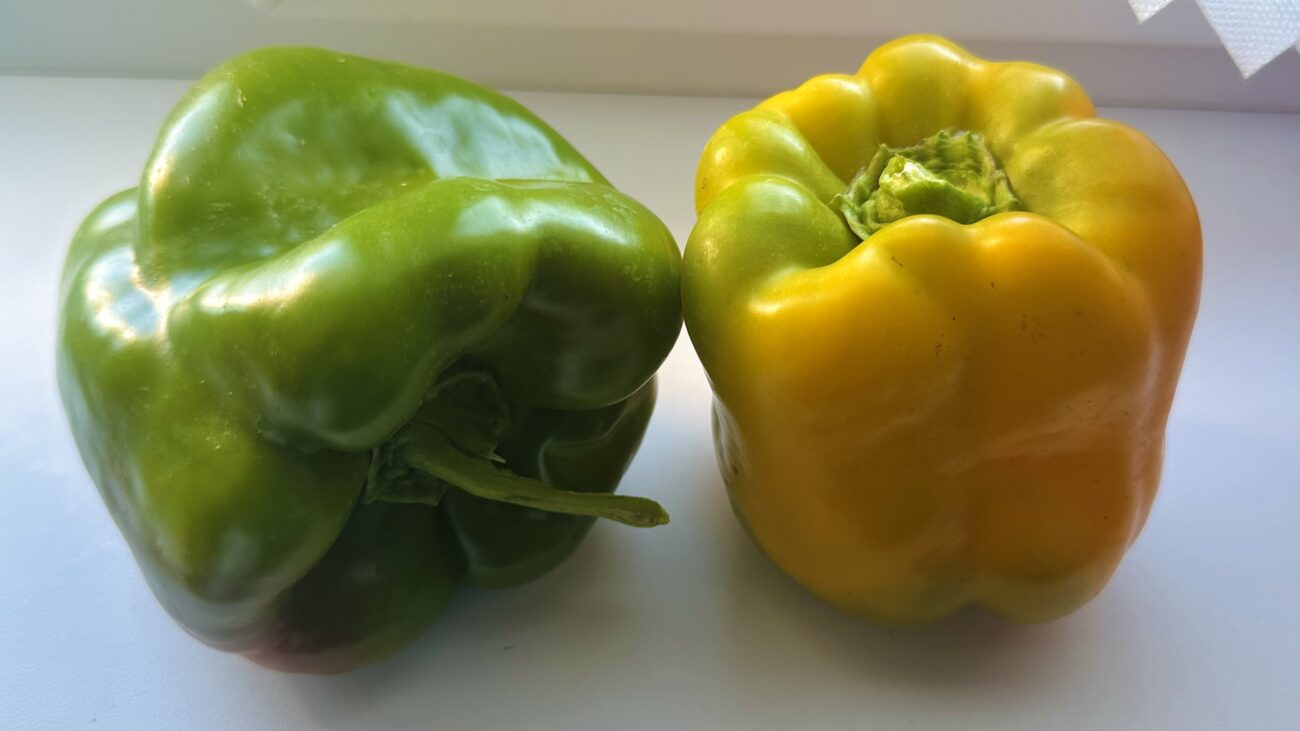 Городники розповіли, яке підживлення захистить перці від вершинної гнилі 