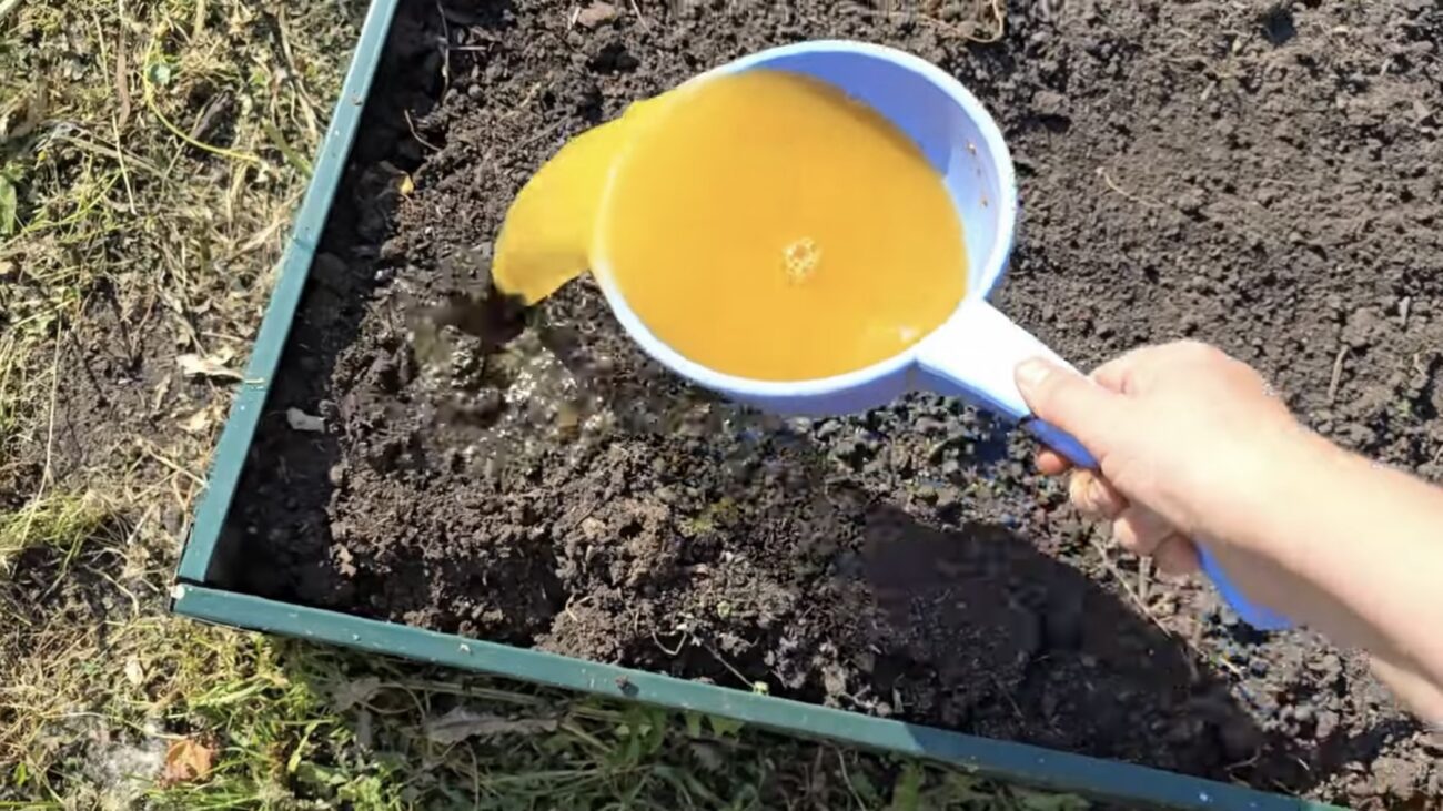 Городники розповіли, як підвищити родючість ґрунту 