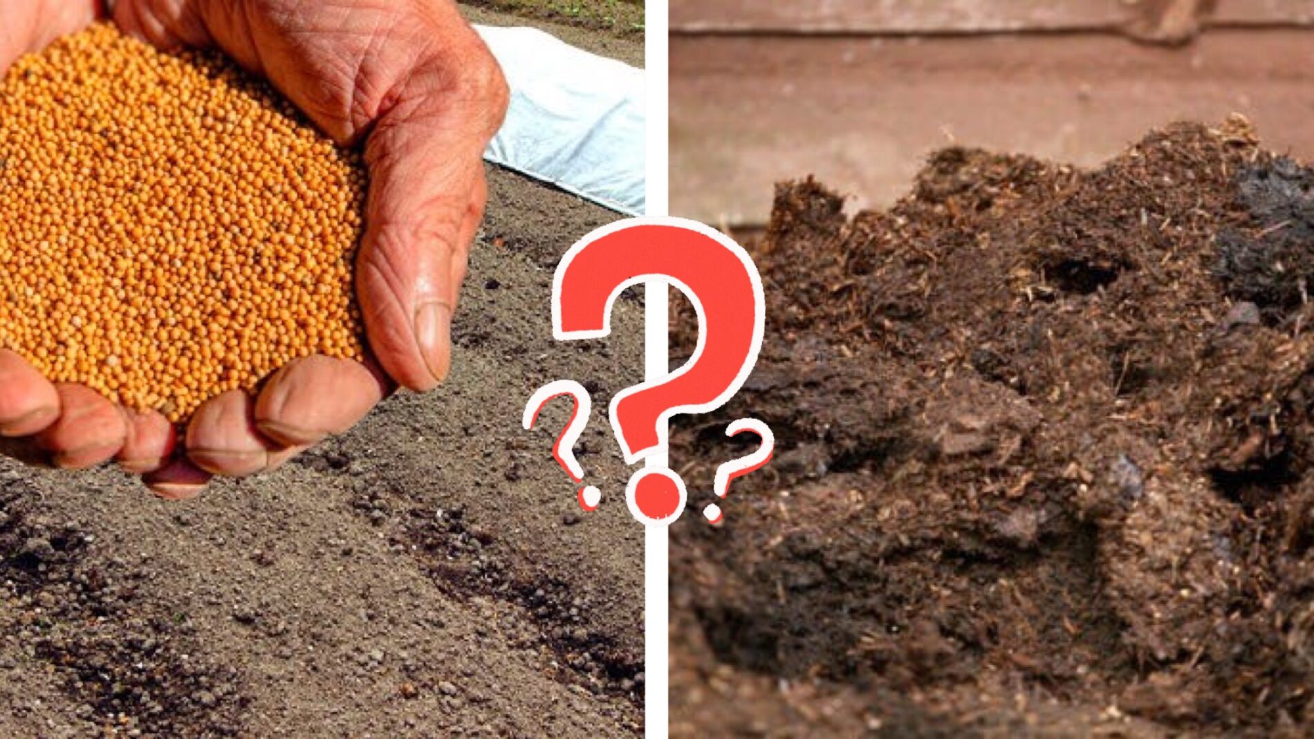 Городники розповіли, чим удобрюють землю замість гною 