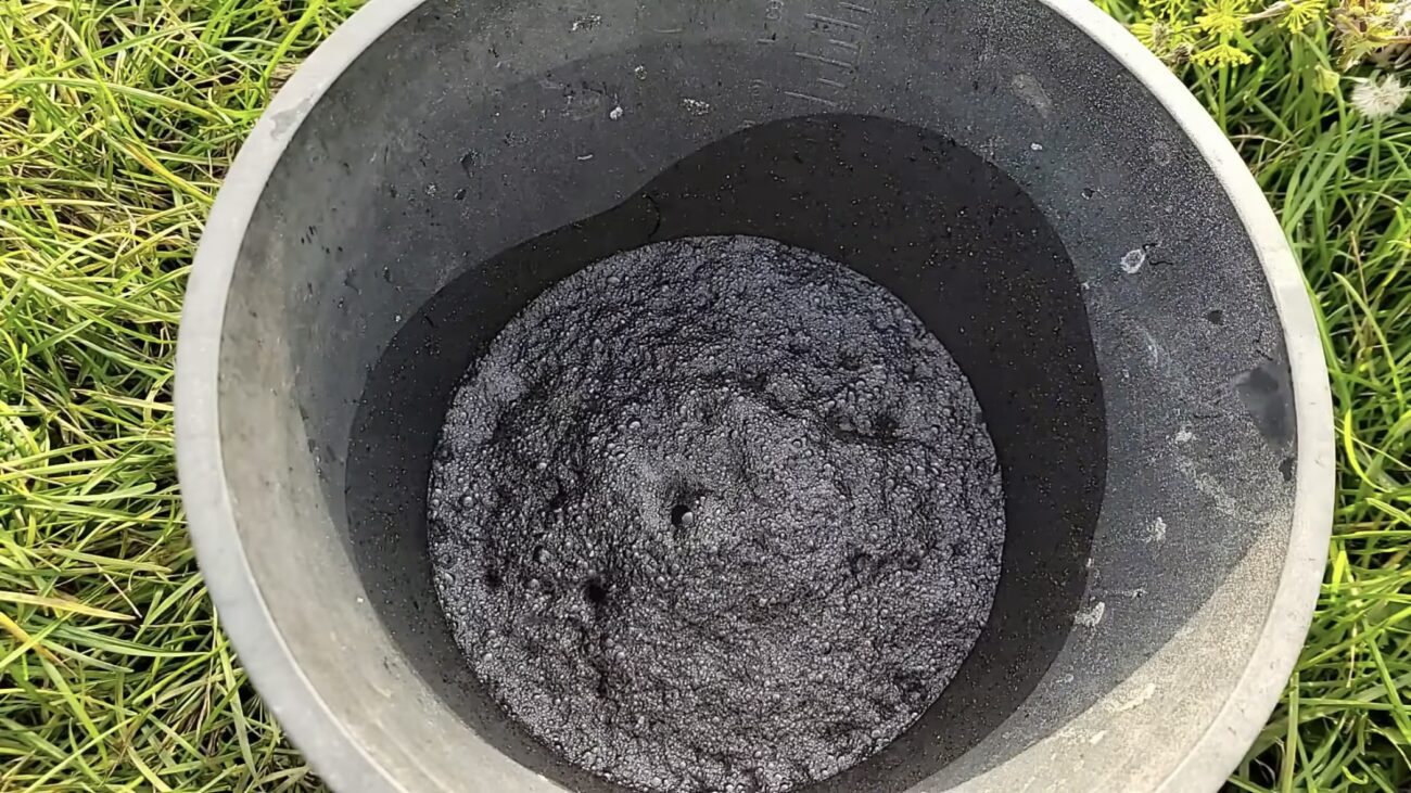 Городники розповіли, як обробити ґрунт від фітофтори після збору томатів 