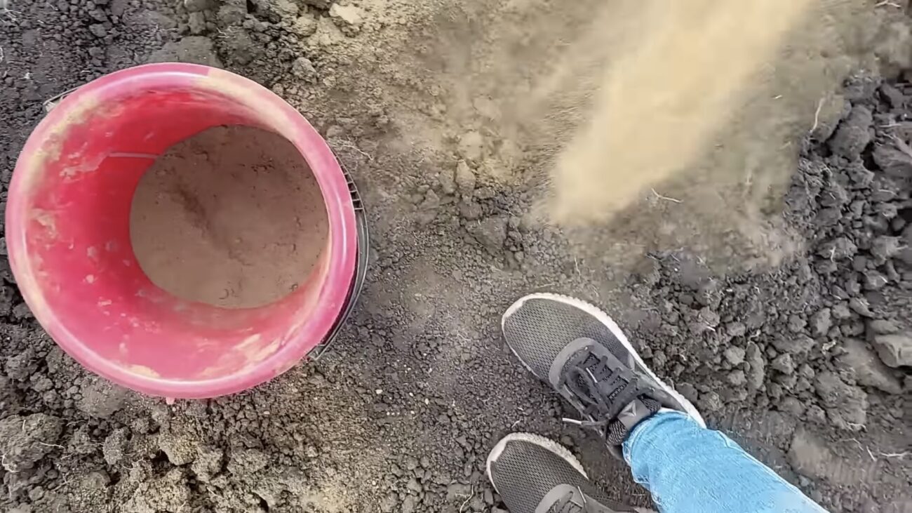 Городники розповіли, як обробити ґрунт від фітофтори після збору томатів 