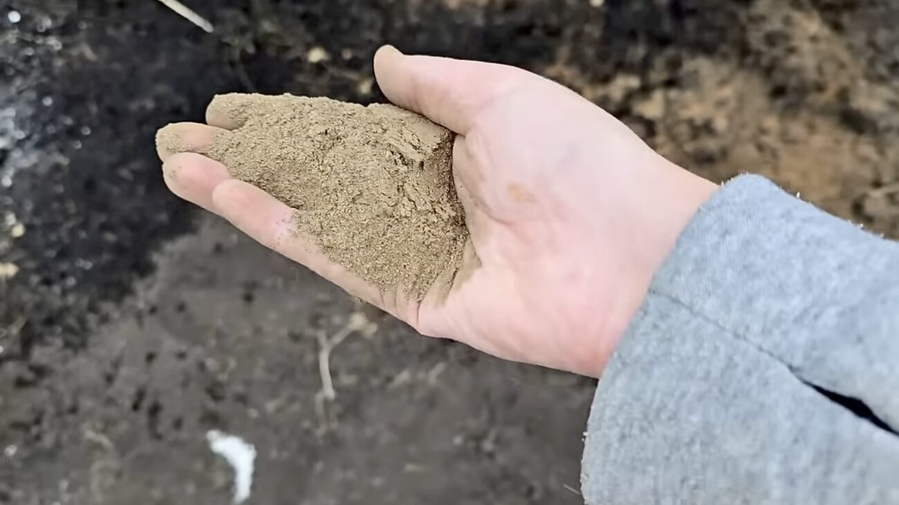 Городники розповіли, що внести в ґрунт восени від чорної ніжки