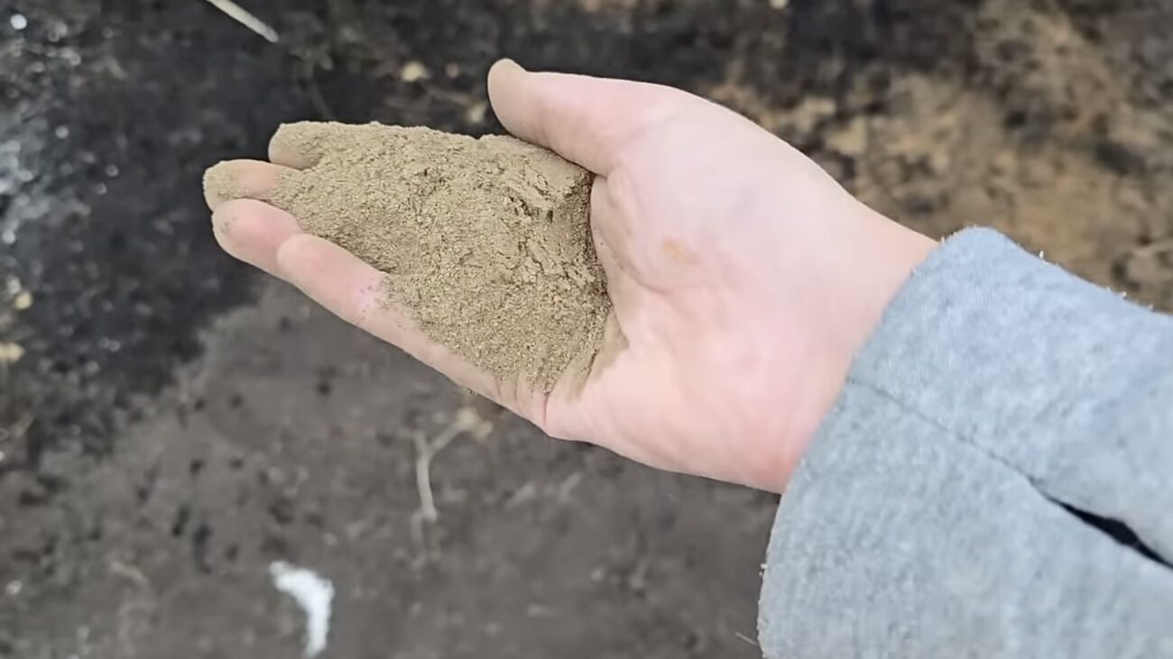 Городники розповіли, як підвищити родючість ґрунту восени 