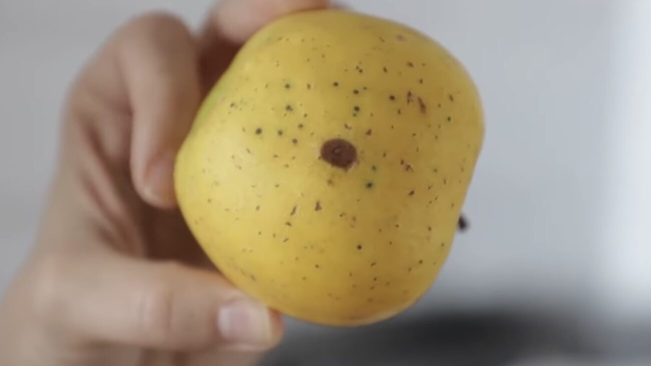 Городники розповіли, як зберігати яблука, щоб вони були свіжими декілька місяців 