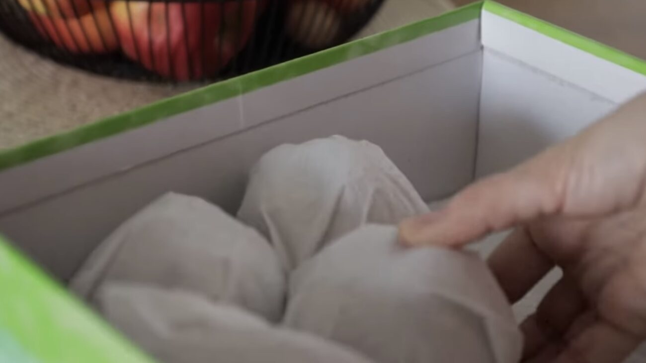 Городники розповіли, як зберігати яблука, щоб вони були свіжими декілька місяців 