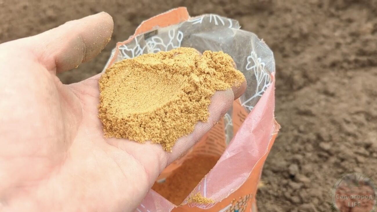 Городники розповіли, чим підживити ґрунт після сезону плодоношення 