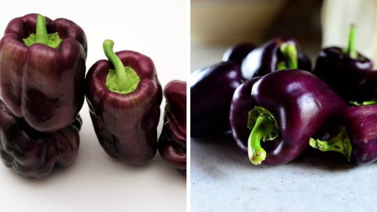 Городники розповіли, які 3 сорти перцю краще садити для власного споживання 