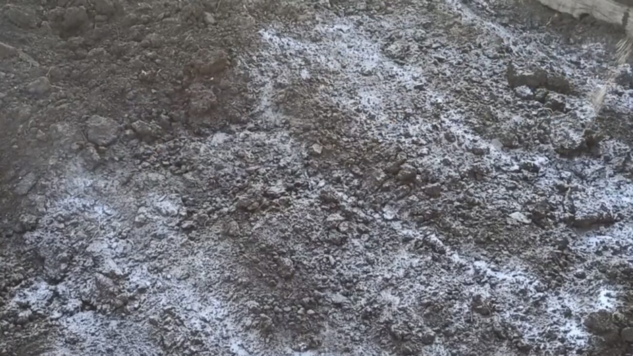 Городники розповіли, який засіб допоможе зробити ґрунт пухкішим 