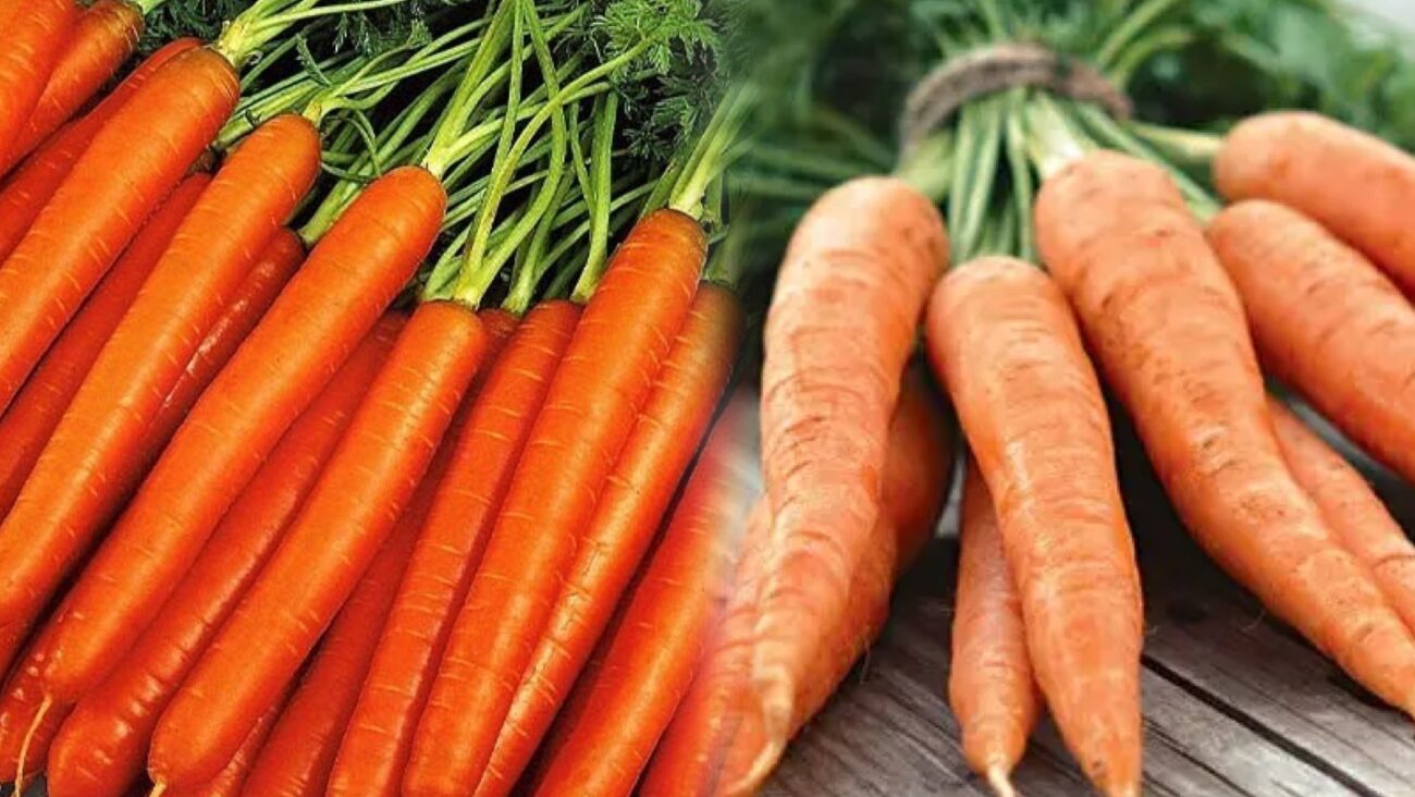 Городники розповіли, які три сорти моркви зарекомендували себе в цьому сезоні  