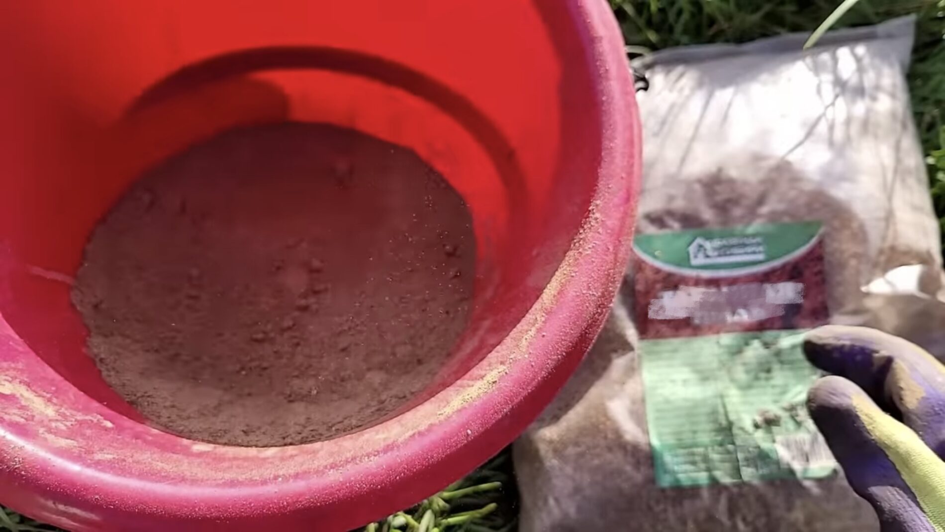 Городники розповіли, чим восени обробити ґрунт від цибулевої мухи 