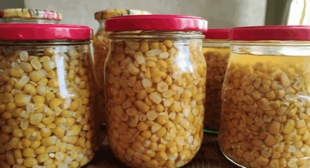 З 20 качанів кукурудзи вийшло 7 банок: 30 г солі на літр води – і солодкість зберігається до весни 