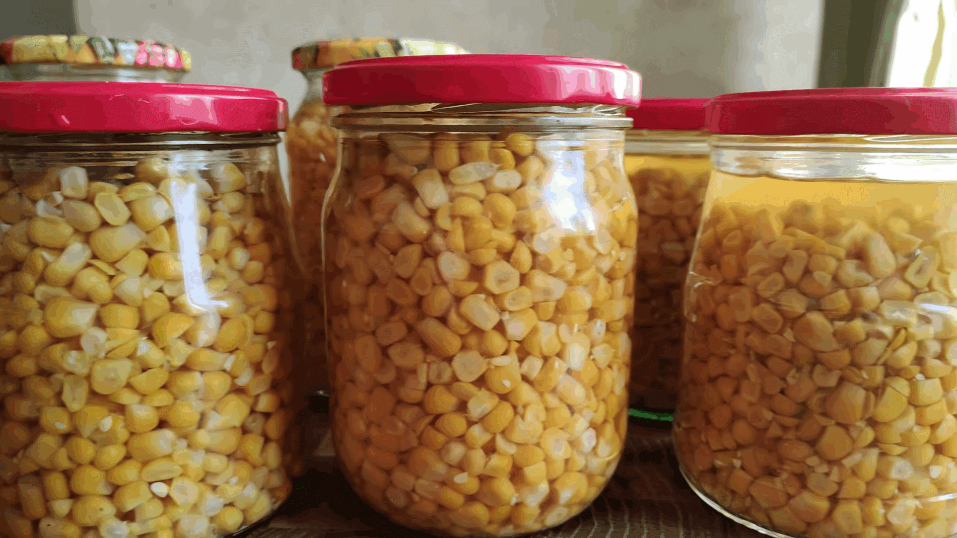 Експерти розповіли, як замаринувати кукурудзу на зиму