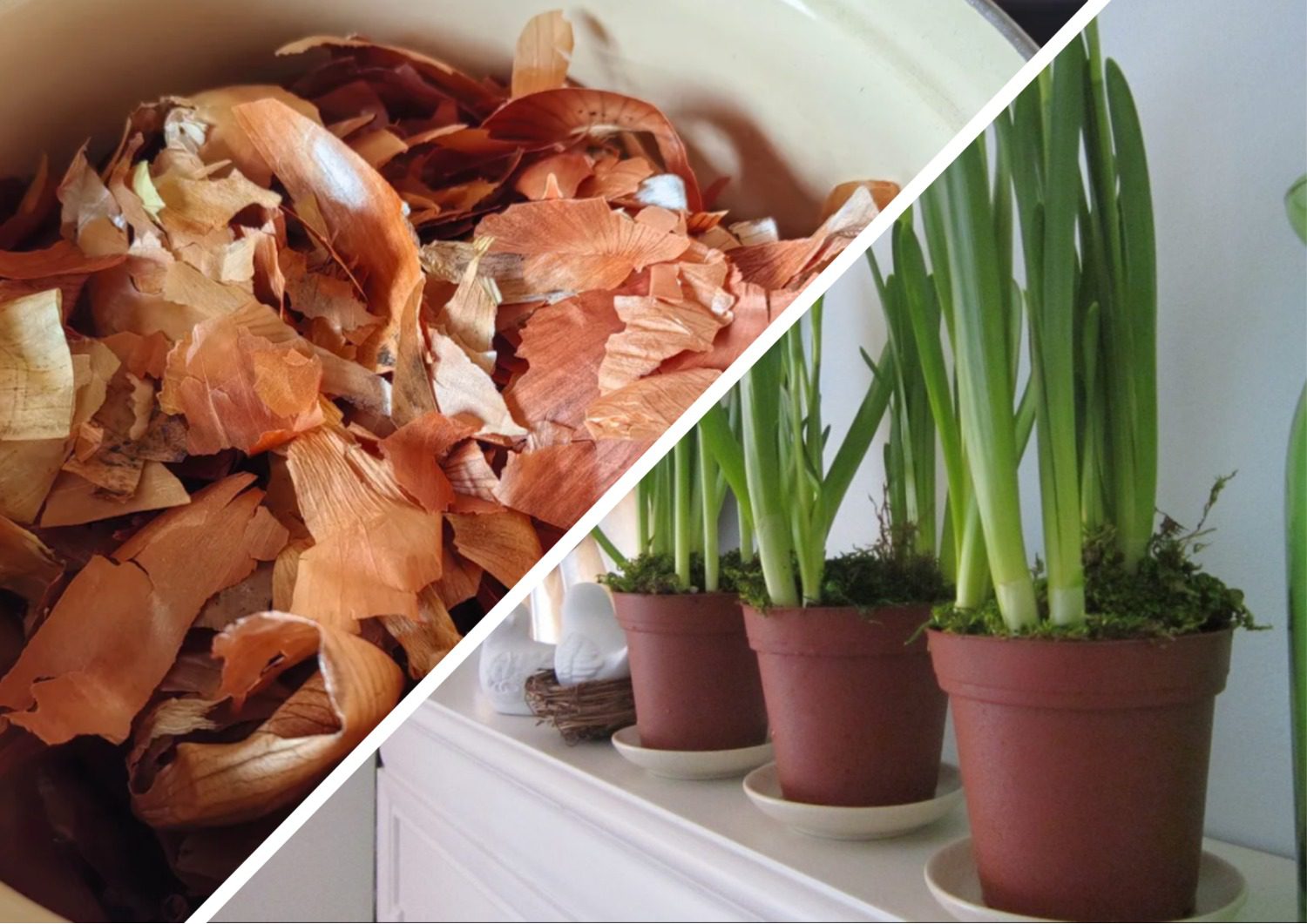 Як приготувати добриво з овочевих залишків