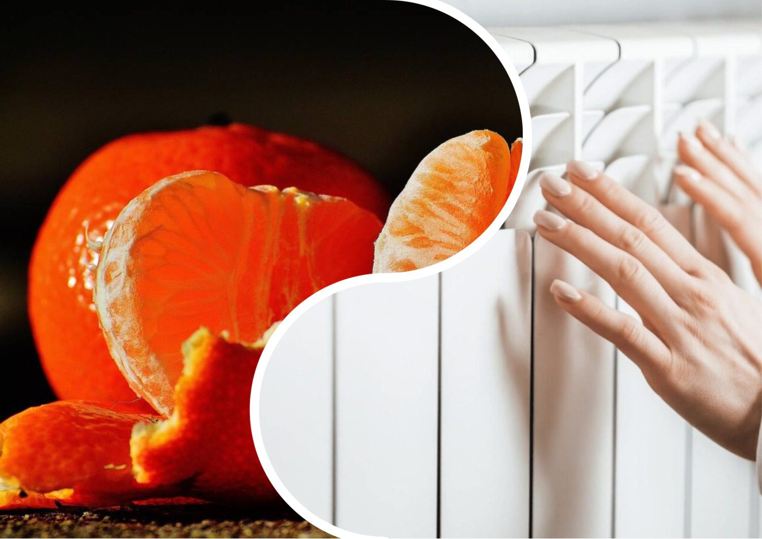 Господині розповіли, як використати шкірки цитрусових