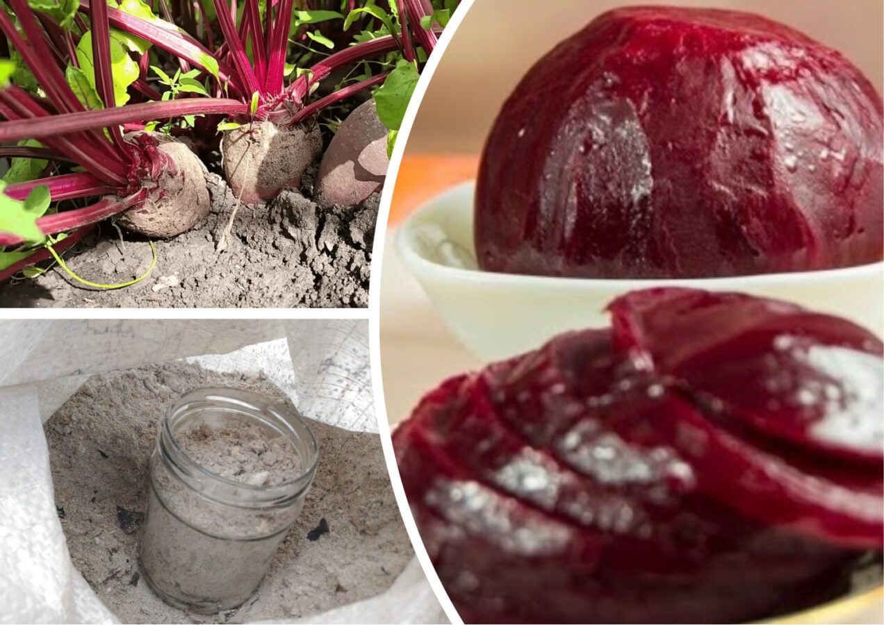 Городники розповіли, як виростити солодкий буряк