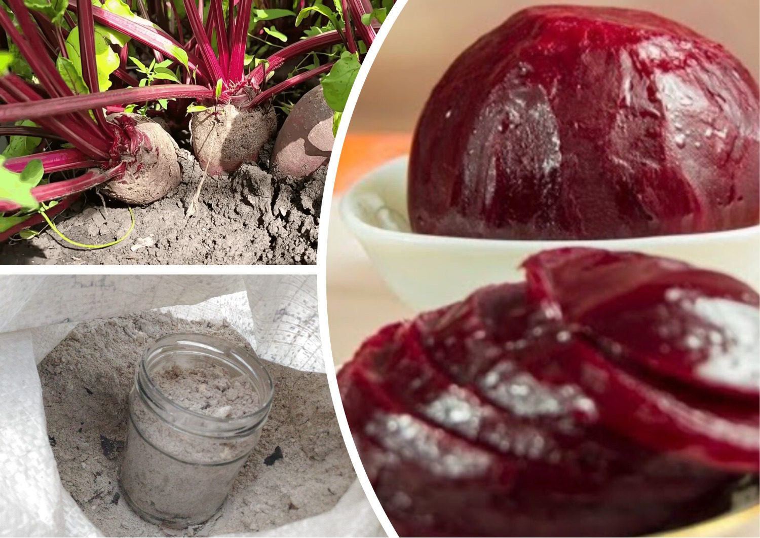 Городники розповіли, як виростити солодкий буряк