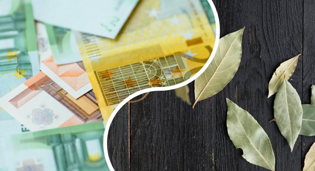 Покладіть 5 лаврових листів у ці 4 “секретні” точки – і відкриєте двері у фінансовий потік: таємниця щастя 