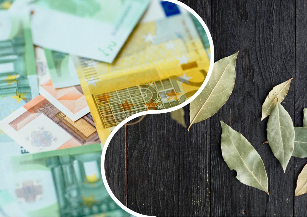 Експерти розповіли, як оригінально використати лаврове листя