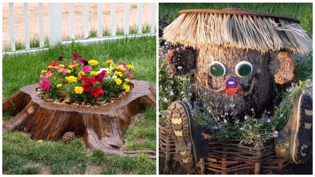 Садівники поділилися ідеями використання старого пенька