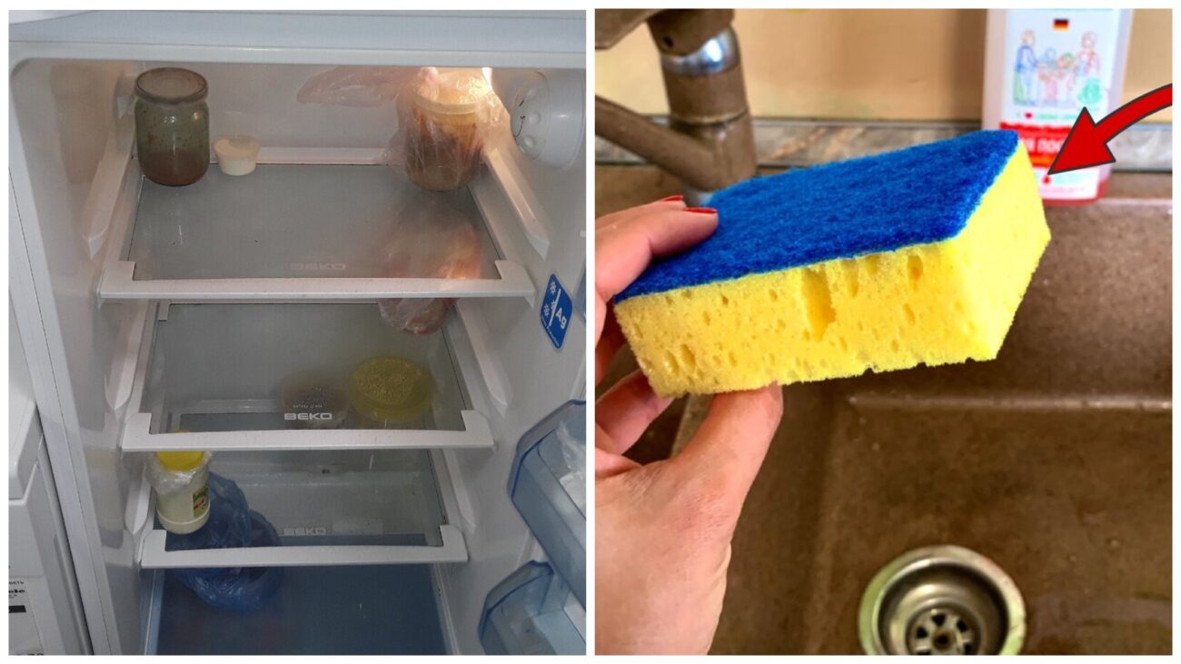 Господині розповіли, навіщо тримати губку для миття посуду в холодильнику