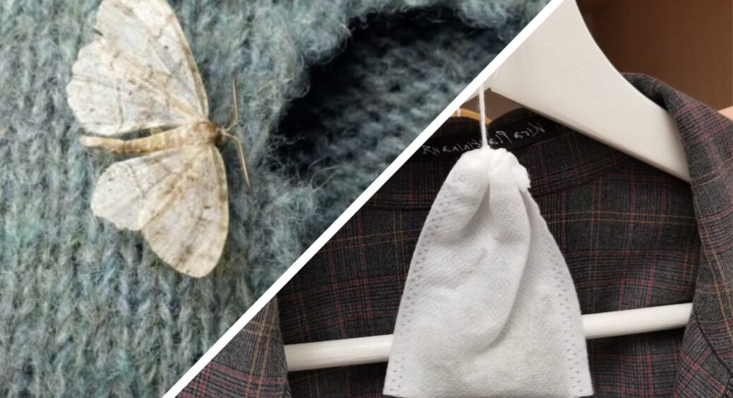 У далеких 90-х побачила міль у шафі, тепер завжди роблю цей “трюк” – жодна комаха не пролізла за цей час 