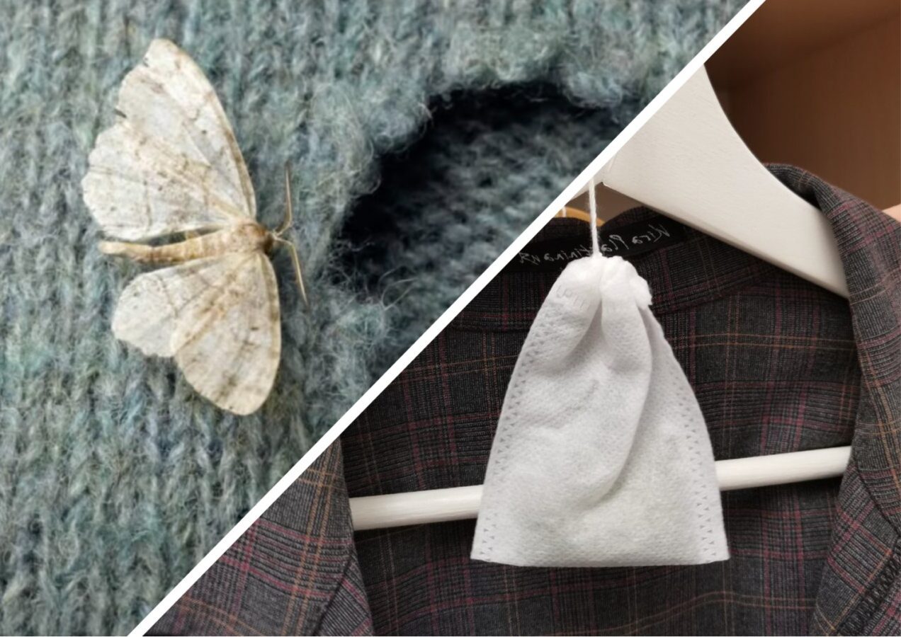 Господині розповіли, які пряності допоможуть позбутися молі у шафі