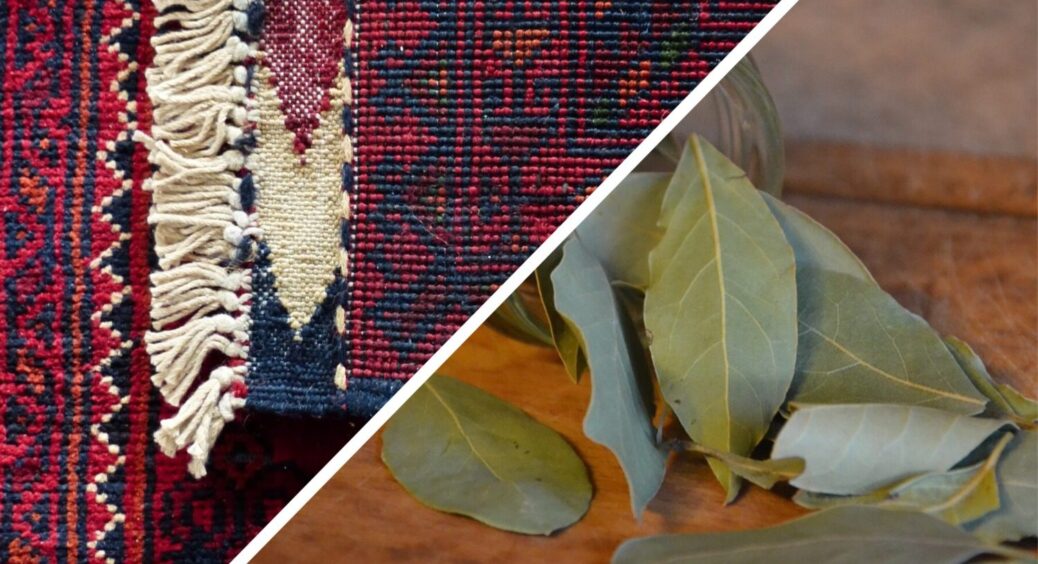 Свекруха навчила “освіжати” килими й ковролін саме так: кипʼячу 7 листочків – і спостерігаю за перевтіленням 