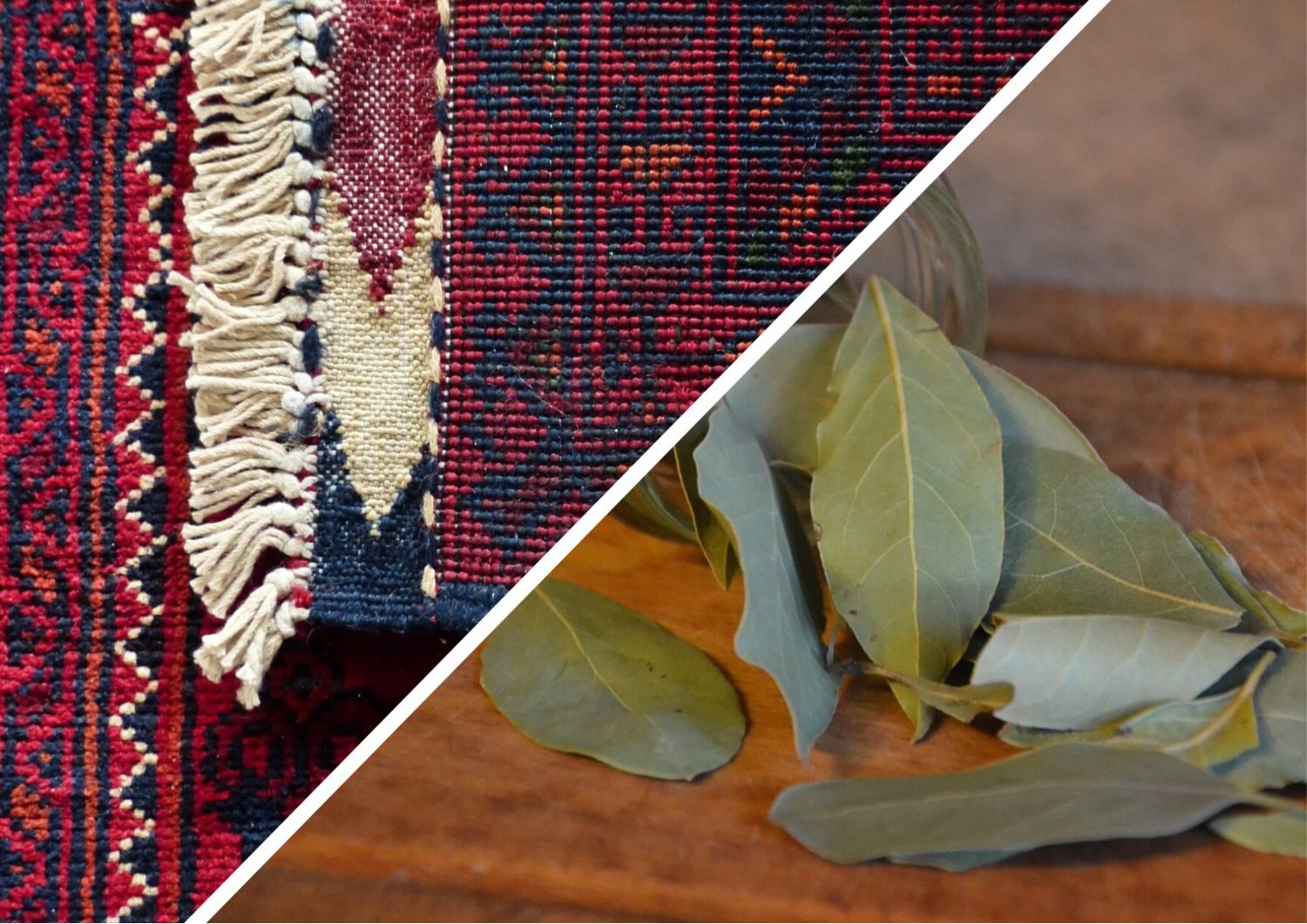 Господині розповіли, як позбутися неприємних запахів з килимів