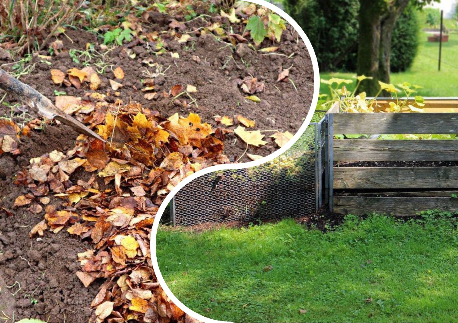 Городники розповіли, як з користю для культур використати опале листя