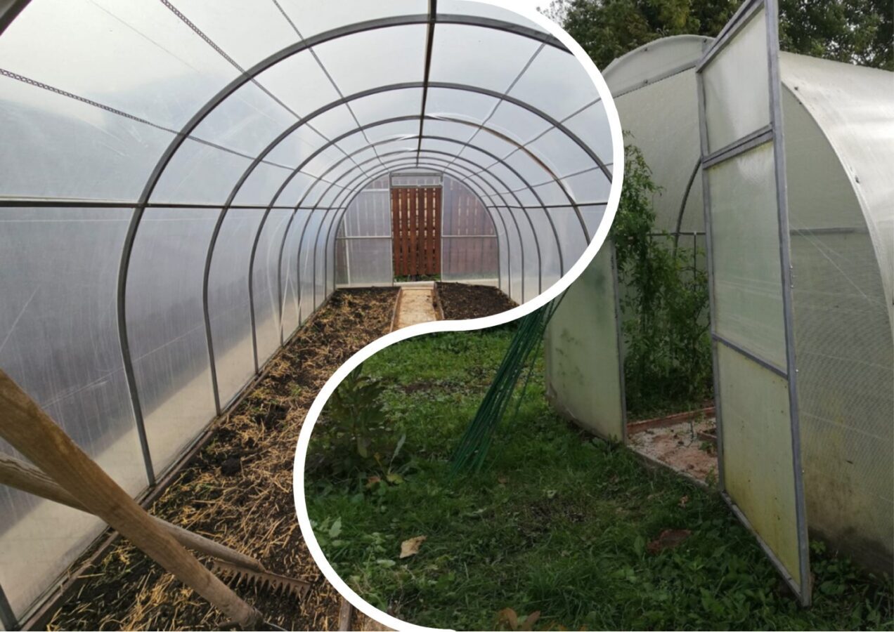 Як підготувати теплицю до зими