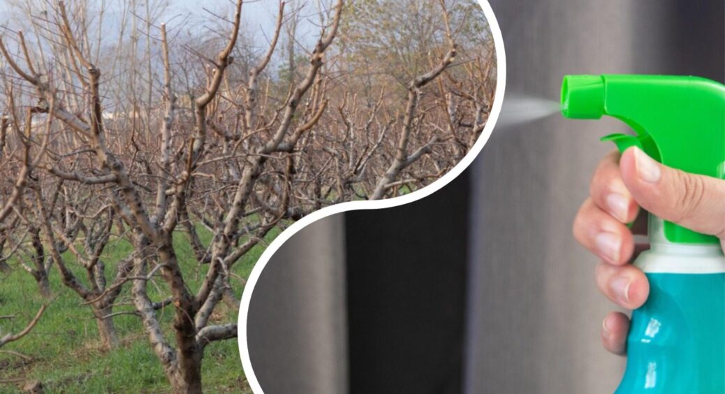 На осінню обробку саду витрачаю 2 години замість цілого дня: 4 кроки, які економлять 10-12 годин мого життя 