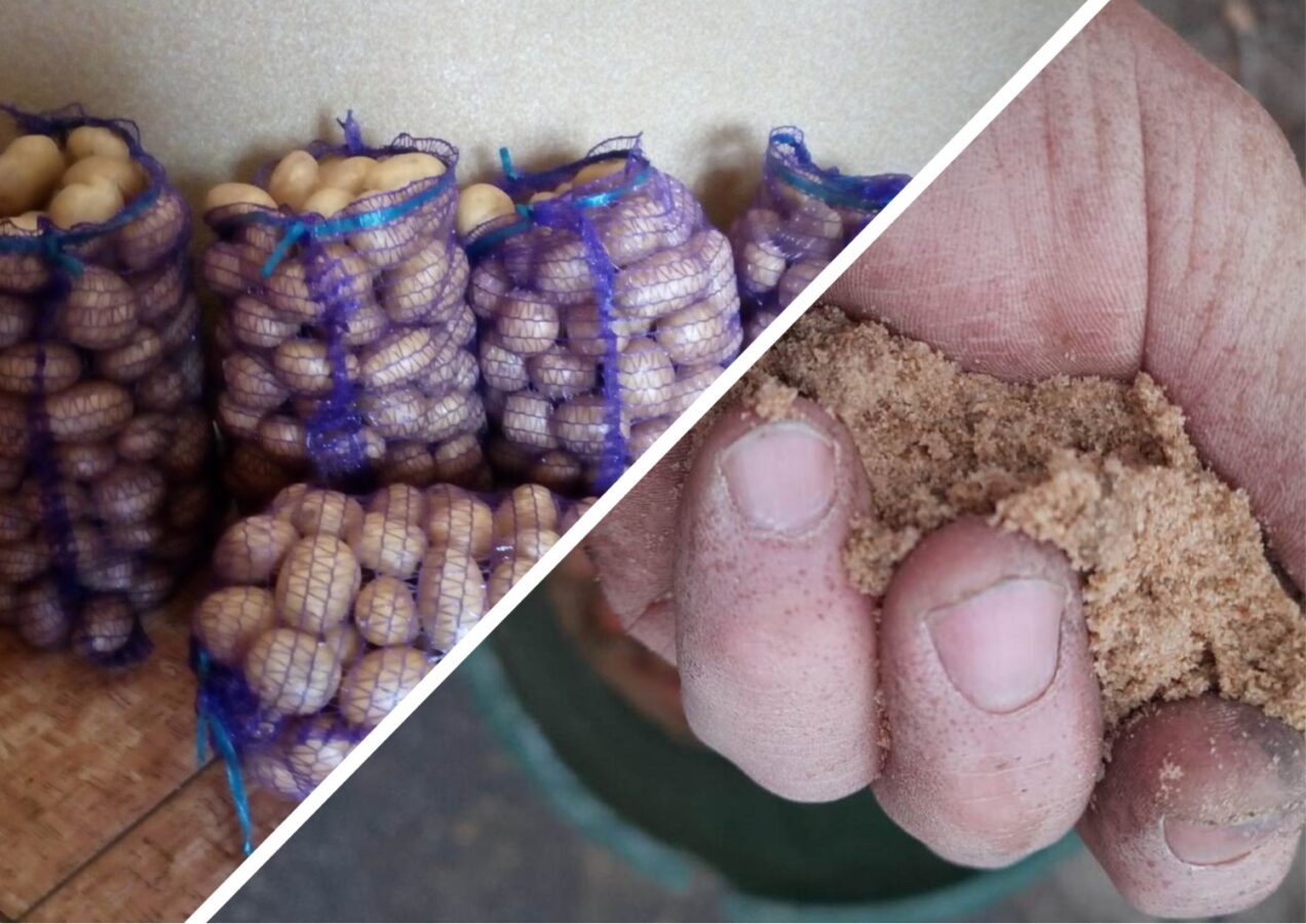 Як зберігати картоплю та буряк взимку