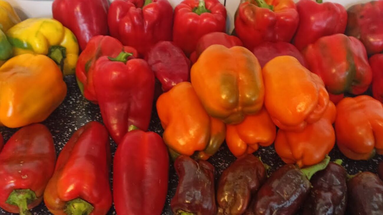 Городники назвали сорти перцю, що дають гарний врожай і не примхливі у догляді