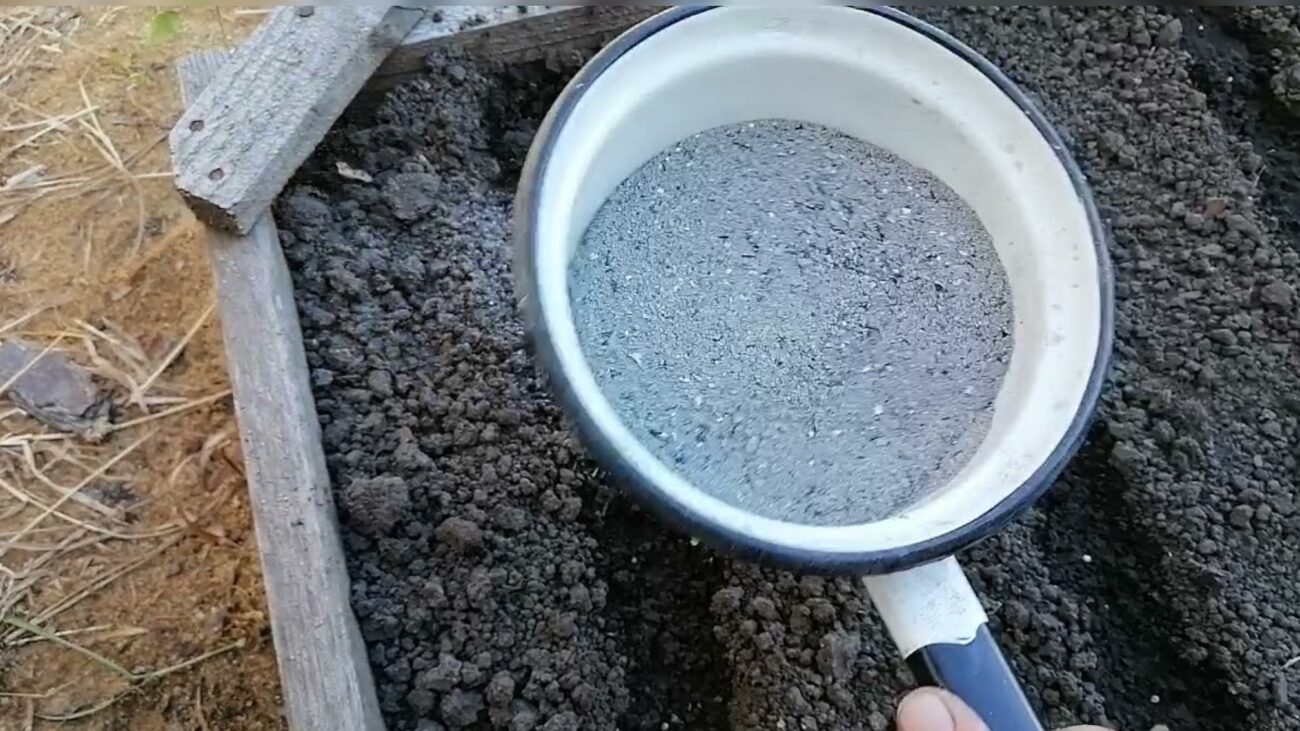 Городники розповіли, як обробити город від цибулевої мухи у листопаді 