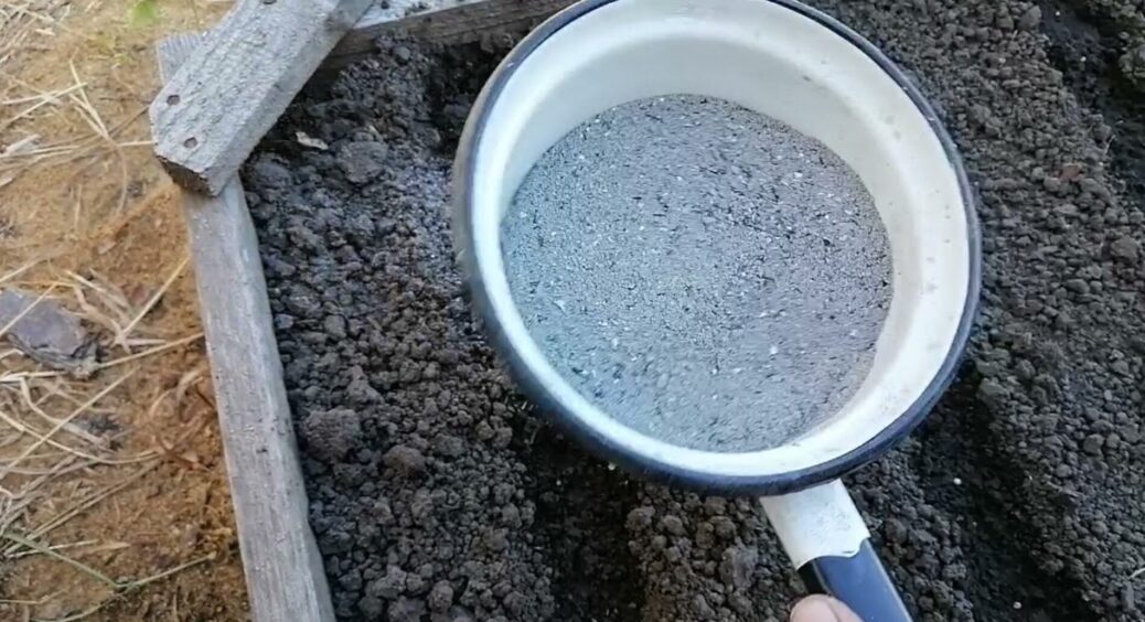 Після часнику і цибулі — обовʼязково: припорошила 2 інгредієнтами грядки, і від цибулевої мухи ані сліду 