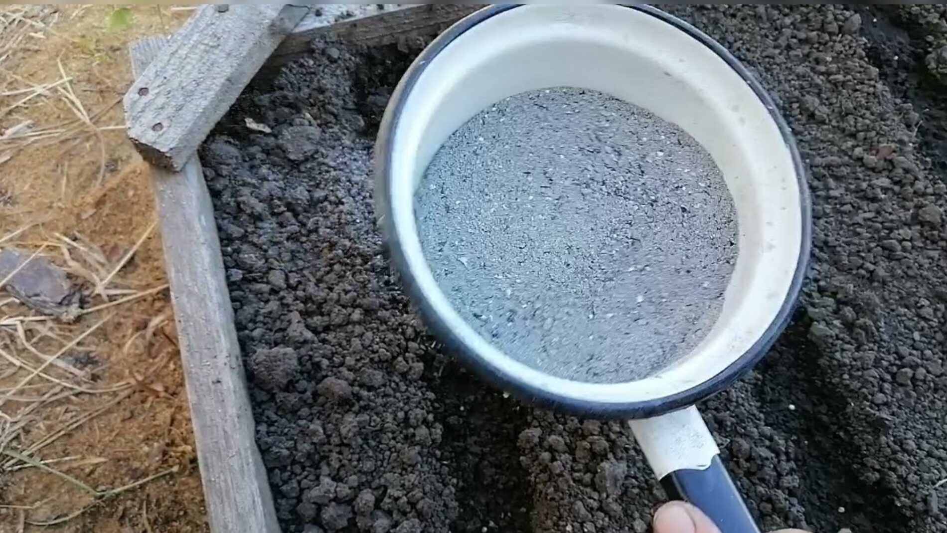 Городники розповіли, як обробити город від цибулевої мухи у листопаді 