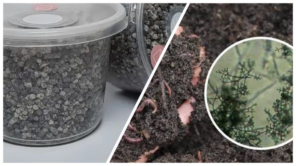 Городники розповіли, як провести осінню обробку ґрунту від шкідників