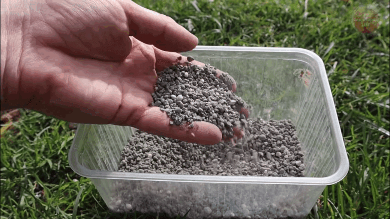 Городники пояснили, як правильно удобрювати город перегноєм