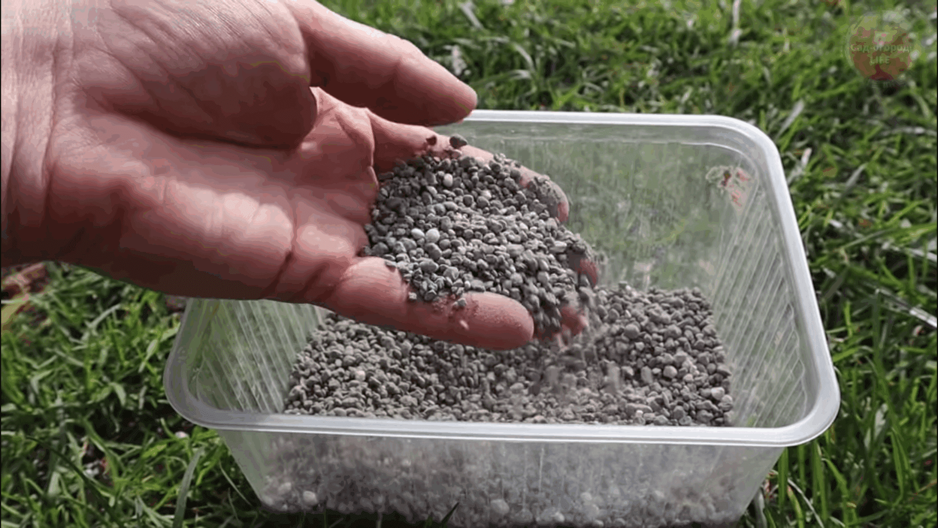 Городники пояснили, як правильно удобрювати город перегноєм