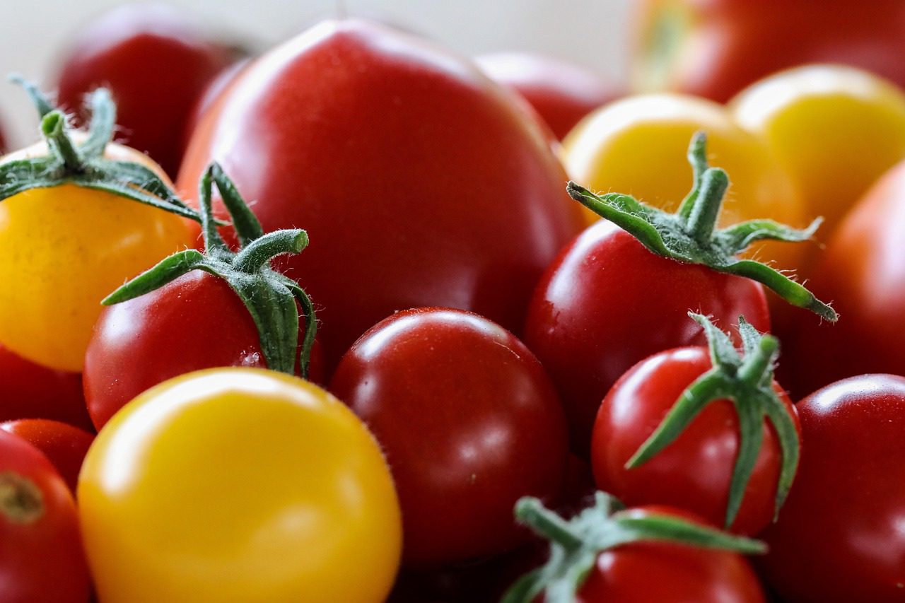 Експерти розповіли про найкращі сорти низькорослих томатів