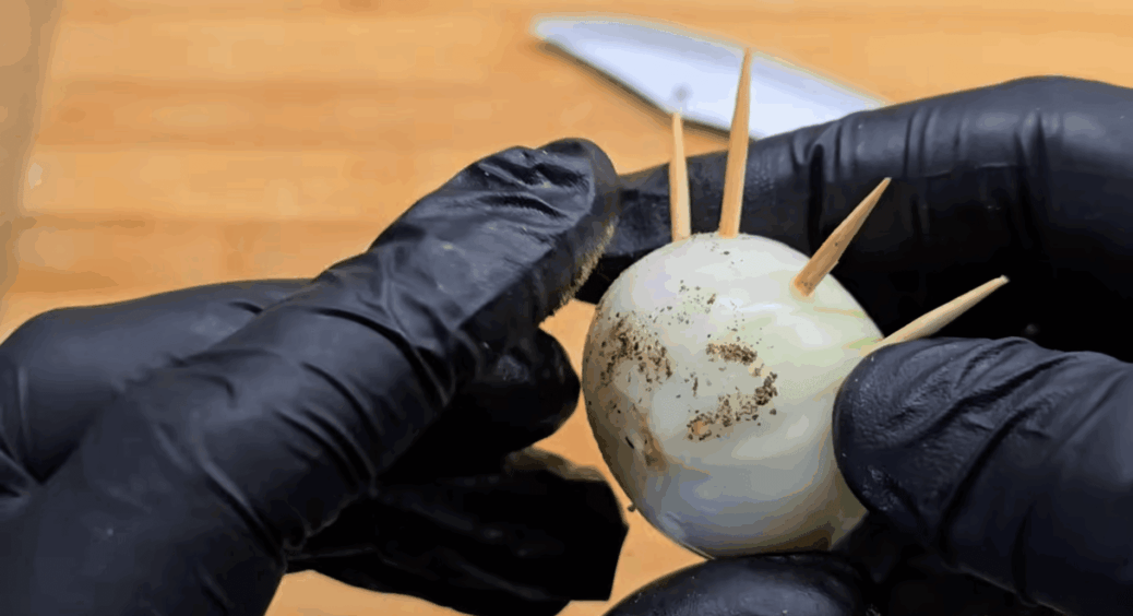 Тримаю зубочистки не у ванній, а на кухні – і лимон, огірок та ковбаса свіжі втричі довше: вау-трюк 