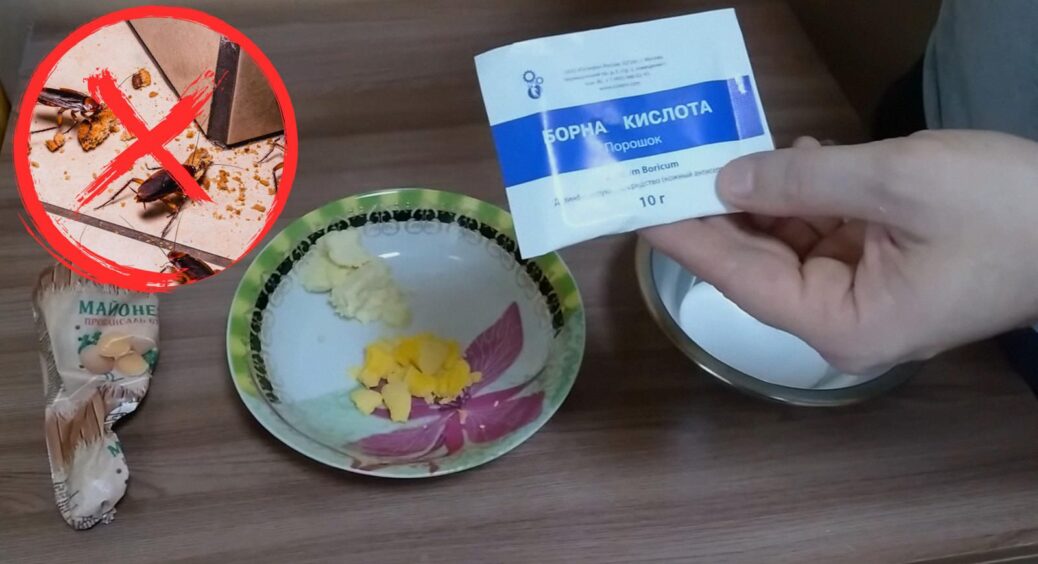 Приготувала “фінальну вечерю” для тарганів: ніжки простягнули в 1 мить, а нові – носа не сунуть до нас 