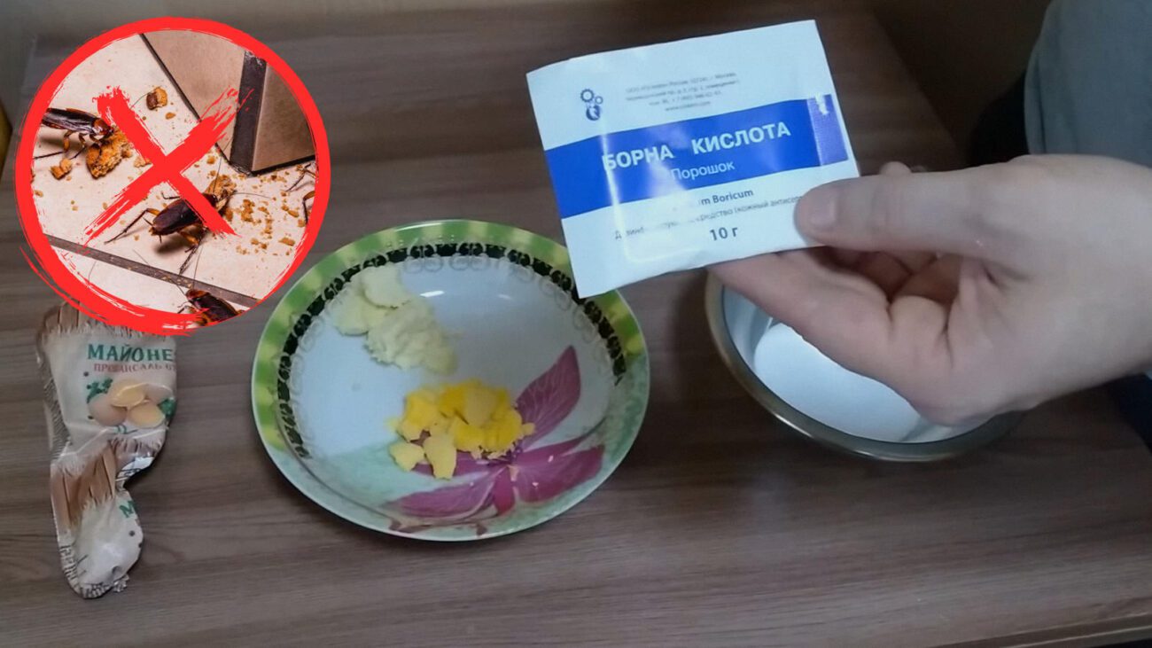 Експерти розповіли, як швидко та надовго позбутися тарганів