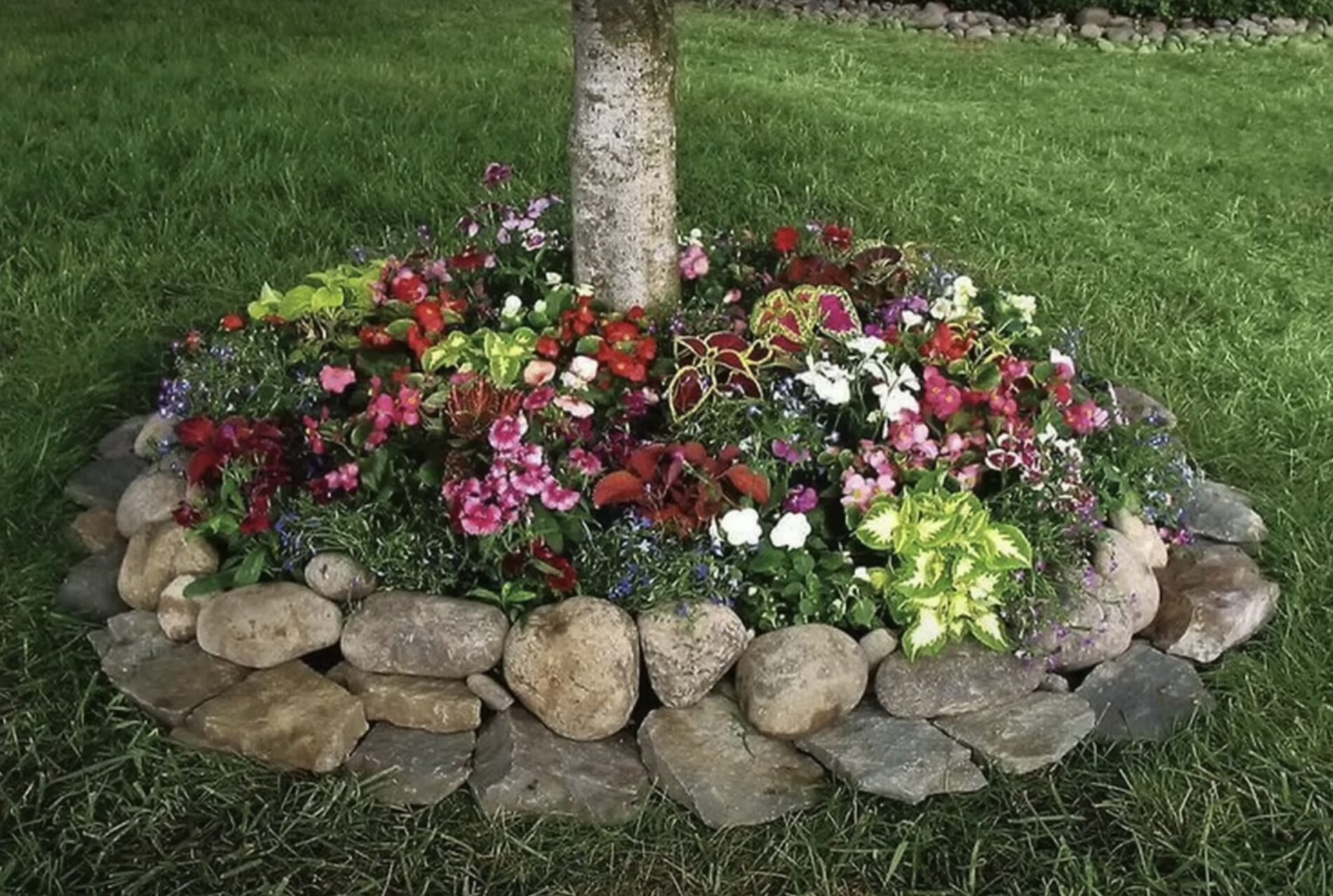 Садівники пояснили важливість вирощування рослин в пристовбурних колах дерев