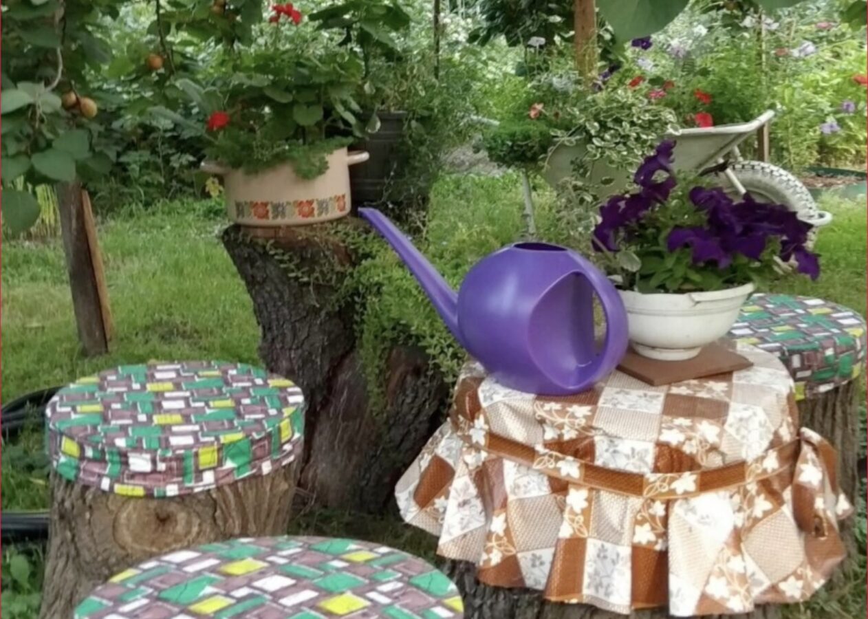 Садівники поділилися ідеями використання старого пенька