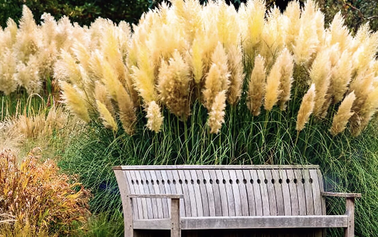 Садівники назвали рослини, які не варто вирощувати у саду