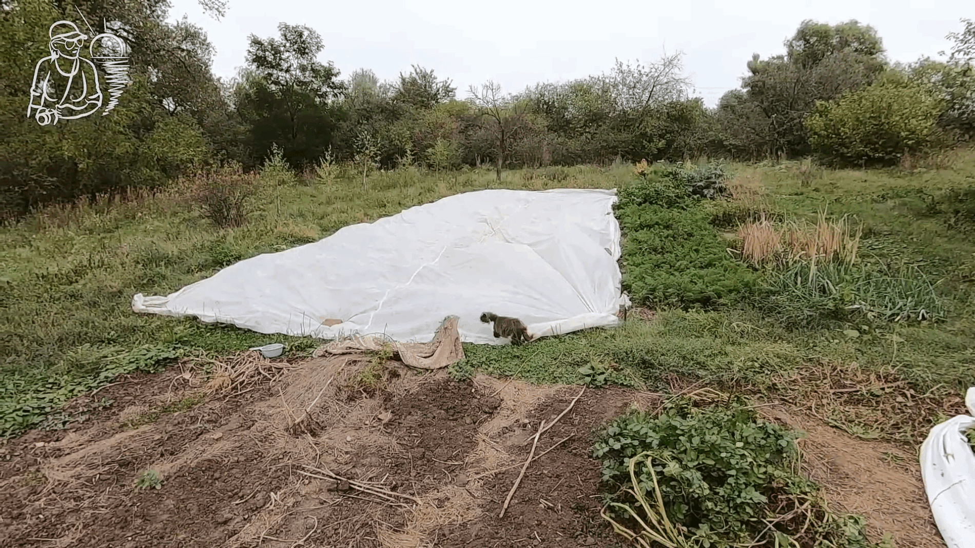 Експерти розповіли, як очистити спанбонд після городнього сезону