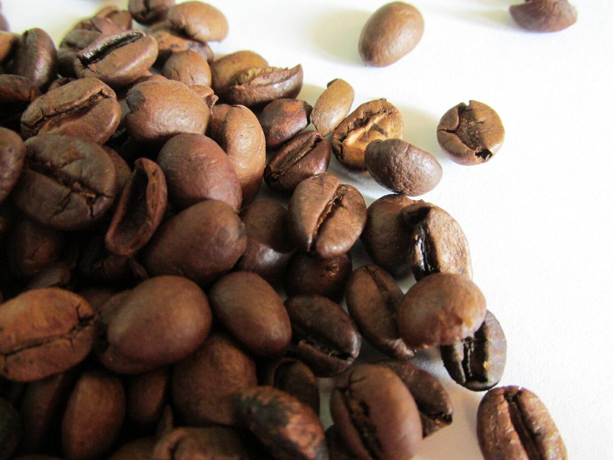 Господині розповіли, навіщо гріти каву на сковорідці